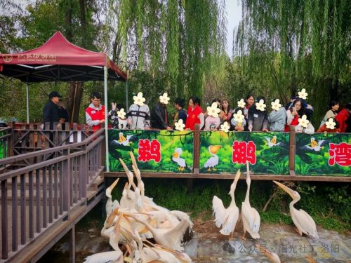 洛阳阳光向阳行动：“探索未知的自己”乡村儿童成长营活动圆满成功(图14)