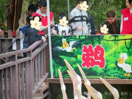 洛阳阳光向阳行动：“探索未知的自己”乡村儿童成长营活动圆满成功(图10)
